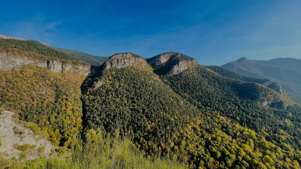 Faune de la Vallée de la Roya